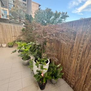 a row of potted plants in front of a fence at Casa de Burgh in Turner