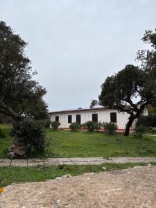a white building with trees in front of it at Il Lentischio Casa1 in Nulvi