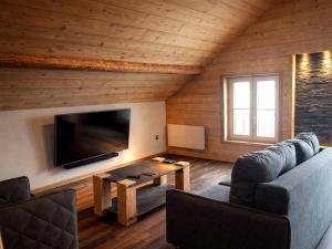a living room with a couch and a tv at Domusigua in Gérardmer