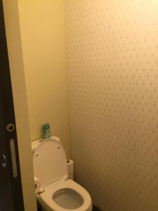 a bathroom with a white toilet in a stall at Maison Parnasse in Castelnau-de-Guers +3 photos