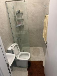 a small bathroom with a toilet and a shower at Salam Apartments in Amman +8 photos