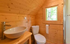 a bathroom with a sink and a toilet at NATURAMA Brombachsee Trollwald in Pleinfeld