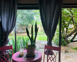 a table with a potted plant on it next to a window at Casa De Montague in Noordheuwel +1 photo