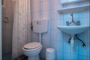 a bathroom with a toilet and a sink at Anemone Masouri in Masouri
