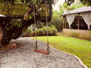 a swing in a yard next to a house at Casa De Montague in Noordheuwel