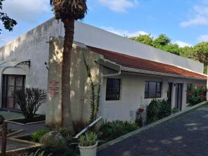 a house with a palm tree in front of it at Villa Alba in Margate