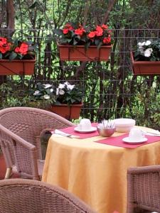Zahrada ubytování Hotel Regit
