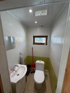a small bathroom with a toilet and a sink at Junkuri Holiday House 9 Beds up to 20 Guests in Jeroškina +33 photos