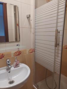 a bathroom with a sink and a shower at Agroturystyka Zielony Ogród in Ścinawka Średnia