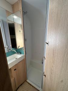a bathroom with a shower and a sink and a mirror at הקרוואן במושב בורגתה in Burgeta +14 photos