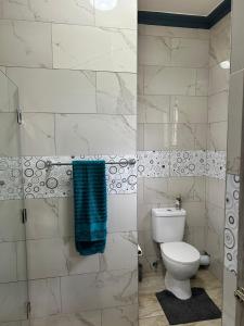 a bathroom with a toilet and a blue towel at Crompton Gardens 786 in Durban