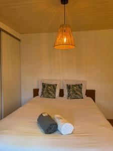 a bedroom with two beds with pillows and a light at La ruche in Bourg-de-Péage