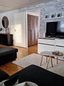 a living room with a couch and a tv at MarrasVilla in Marrasjärvi