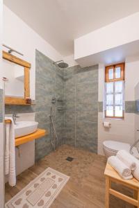 a bathroom with a shower and a sink and a toilet at Residence La Baita in Frassinetto +45 photos