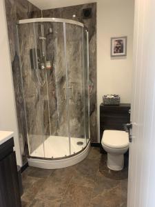 a bathroom with a shower and a toilet at The Little Red lion in Thorpe