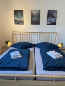 two beds in a room with blue pillows at Dokazien in Waldems