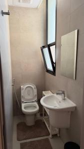 a bathroom with a sink and a toilet and a mirror at Al Azaiba apartment in Muscat