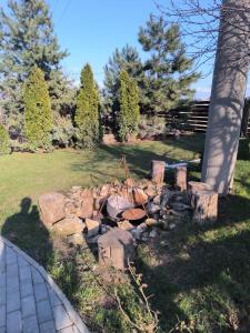 a pile of rocks in a yard next to a tree at Casa Berbec 3 Studio in Dealul Viei +12 photos