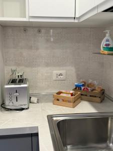 a kitchen with a counter with a sink and a microwave at La Casa Di Elda in Terni