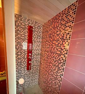 a bathroom with a tiled wall with a red object at Le chalet du paille en queue in Saint-Louis +8 photos