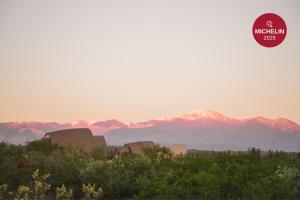 a view of a mountain range with mountains in the background at Chozos Resort in Agrelo