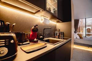 a kitchen with a sink and a counter top with a stove at Luxury Resort Ehametsa in Vaibla +20 photos