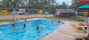 a group of people swimming in a swimming pool at Texarkana KOA Journey in Texarkana