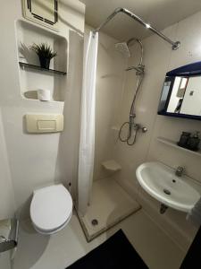 a small bathroom with a toilet and a sink at 1-Zimmer Apartment Waldperle in Erftstadt