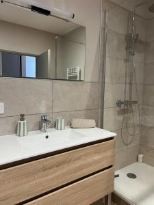 a bathroom with a sink and a shower at Appartement Saint-Louis in Verdun-sur-Meuse