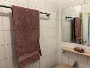 a bathroom with a toilet and a mirror and a towel at Very nice, Central and fully Furnished Apartment in Bonn +19 photos