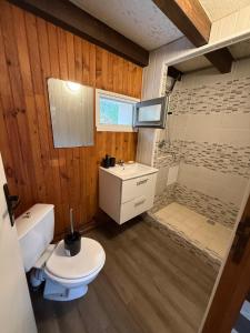 a bathroom with a toilet and a sink and a shower at LK gîte la forêt in Chénérailles