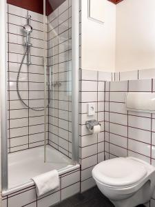 a bathroom with a shower and a toilet at THE GOOD ONE Hotel Landshut in Landshut