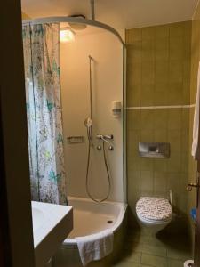 a bathroom with a shower and a toilet at Gasthof zum Falken in Frauenfeld