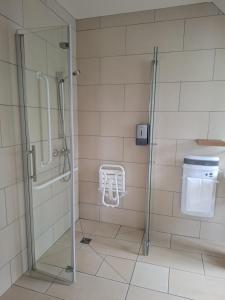a bathroom with a glass shower with a toilet at Le Grand Hôtel Ussel ''nouvelle Gérance 2023'' in Ussel