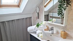 a bathroom with a sink and a mirror at Duplex 4pers Calme Parking - Proche Gare & Rocade in Fleury-les-Aubrais