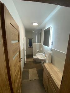 a bathroom with a sink and a toilet and a mirror at Wunderhaus am Goitzschesee in Bitterfeld +26 photos