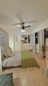 a bedroom with a bed and a ceiling fan at Monoambiente Viamonte in Buenos Aires