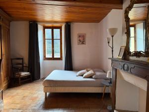 a bedroom with a bed and a fireplace and a mirror at Chez Julie in Valleraugue