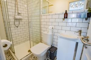 a bathroom with a toilet and a shower and a sink at Marina View Studio - Harbour in Dublin
