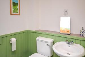 a green bathroom with a toilet and a sink at 1 Bed in Reef oc-r30134 in Uig