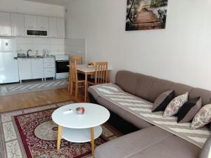 a living room with a couch and a table at AGA Apartman Podgorica in Podgorica +19 photos
