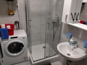 a bathroom with a shower and a washing machine and a sink at AGA Apartman Podgorica in Podgorica