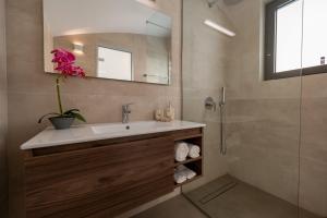 a bathroom with a sink and a mirror and a shower at Sun and Sea Apartment - Beachfront, 2 Bedrooms with Sea View & Garden in Paralio Astros +46 photos