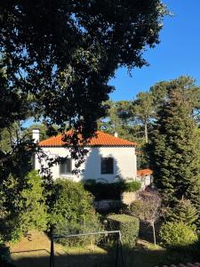 a white house with an orange roof at Casa do Pinhal in Moledo +6 photos