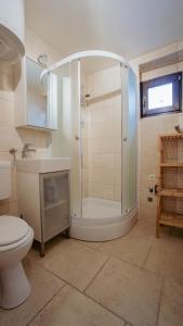 a bathroom with a shower and a toilet and a sink at MareVita in Tribunj