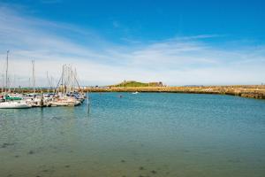 a group of boats are docked in a harbor at Superb Seafront Studio in Dublin
