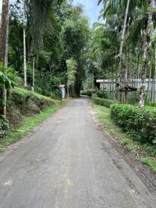 an empty road with trees on either side of it at Cantinho Philot in Nova Friburgo +14 photos