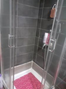 a shower with a glass door and a pink rug at Refúgio da Estrela Covilhã in Covilhã +39 photos