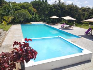a large blue swimming pool next to a resort at Green Garden Lodge in Nosy Be