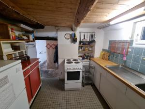 a small kitchen with a stove and a sink at Wild Valley Rustico Piazza in Intragna, Centovalli in Intragna